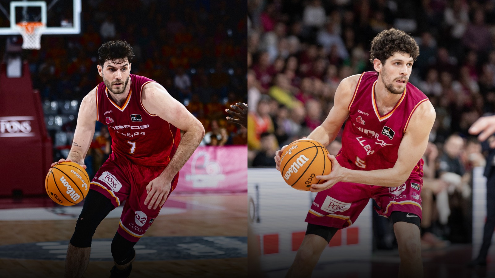 Oriol Paulí y György Golomán viajarán con la selección por las Ventanas FIBA